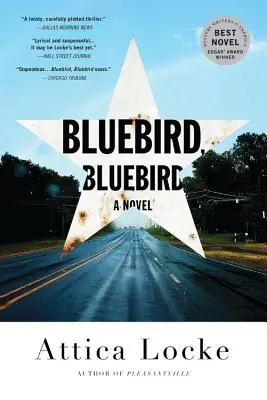 Express Delivery Bluebird, Bluebird (A Highway 59 Novel #1) (Paperback)
