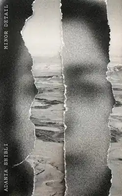 Minor Detail (Paperback) Don’t Miss Out