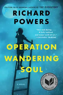 Secure Checkout Operation Wandering Soul: A Novel (Paperback)