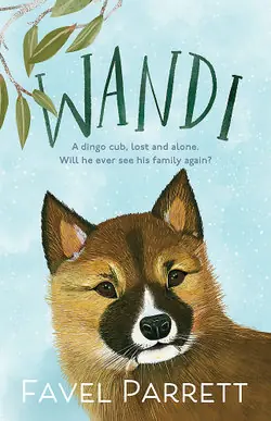 Wandi - by Favel Parrett Latest