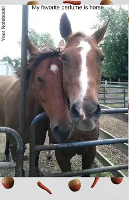 Instant Buy Your Notebook! My Favorite Perfume Is Horse (Paperback)