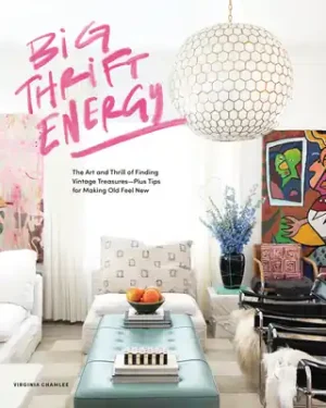 Don’t Miss Out Big Thrift Energy: The Art and Thrill of Finding Vintage Treasures-Plus Tips for Making Old Feel New (Hardcover)