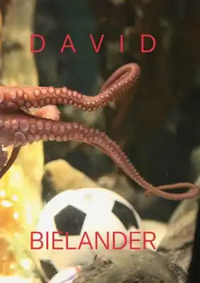 Express Delivery David Bielander: Twenty Years. 2016-1996 (Hardcover)