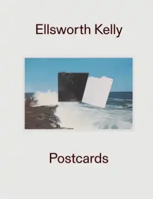 Professional Grade Ellsworth Kelly: Postcards (Hardcover)