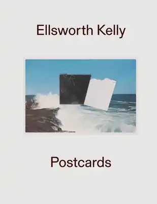 Professional Grade Ellsworth Kelly: Postcards (Hardcover)