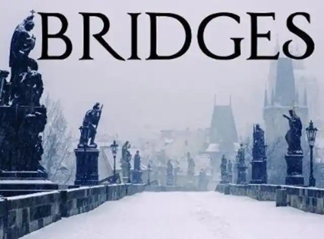 Bridges - Hardback Genuine